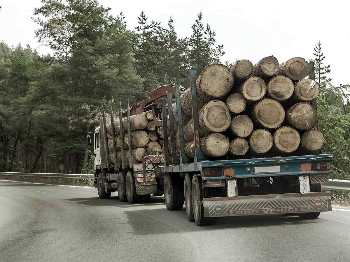 https://premium-global-logistics.com/wp-content/uploads/2017/08/inner_big_trucks_01.jpg